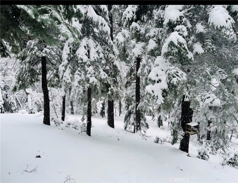 Twin Peaks (TWIN) - Residential