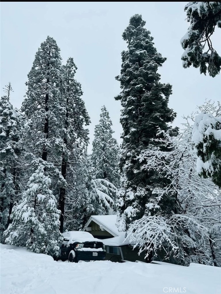 Twin Peaks (TWIN) - Residential