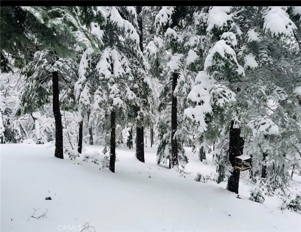 Twin Peaks (TWIN) - Residential