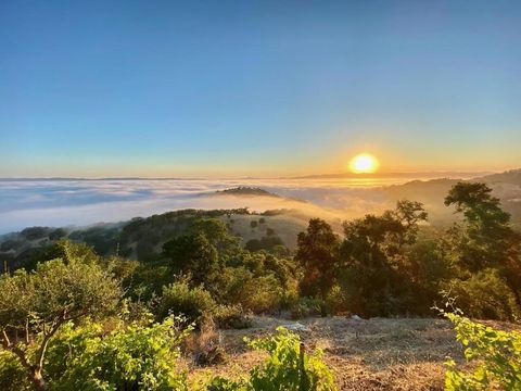 Photo of 440 Hillside Road, San Juan Bautista, CA 95045 (MLS # ML82039063)