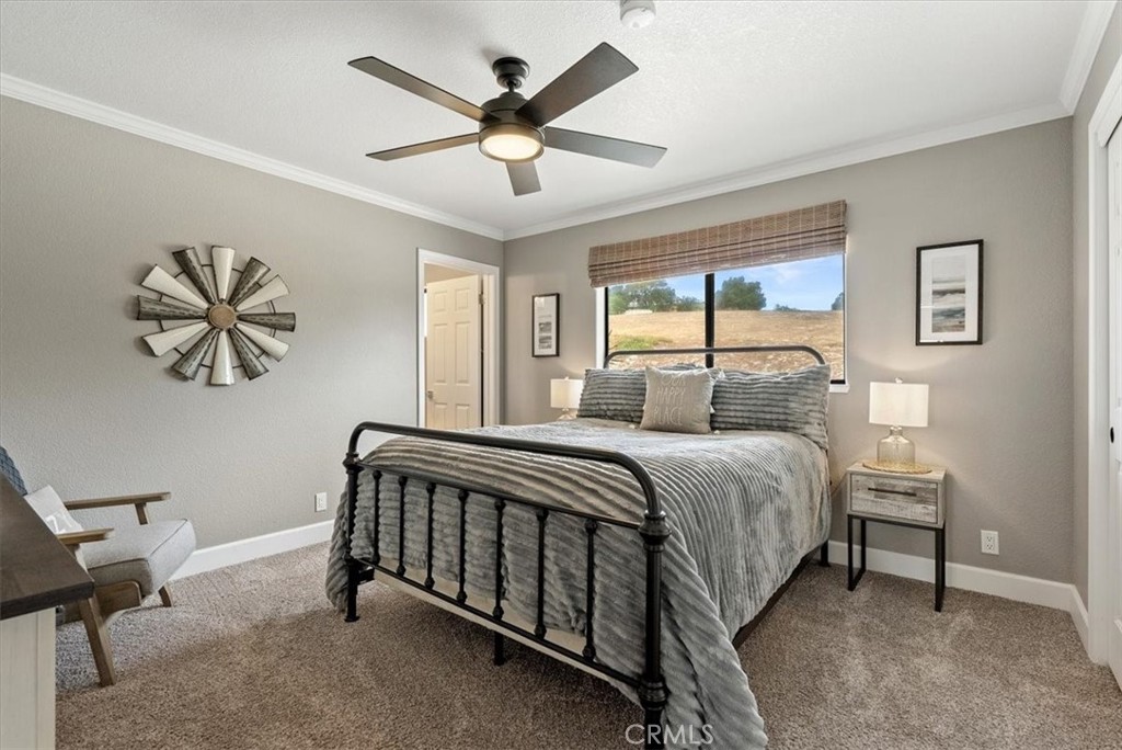East of 101(500) - Residential