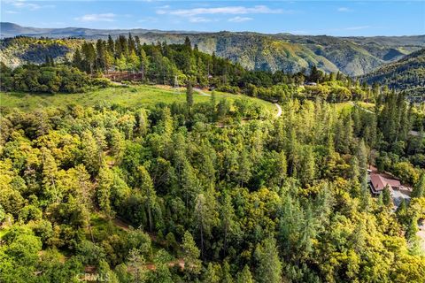 Photo of 21324 Aqueduct Circle, Pine Grove, CA 95665 (MLS # IV26081017)