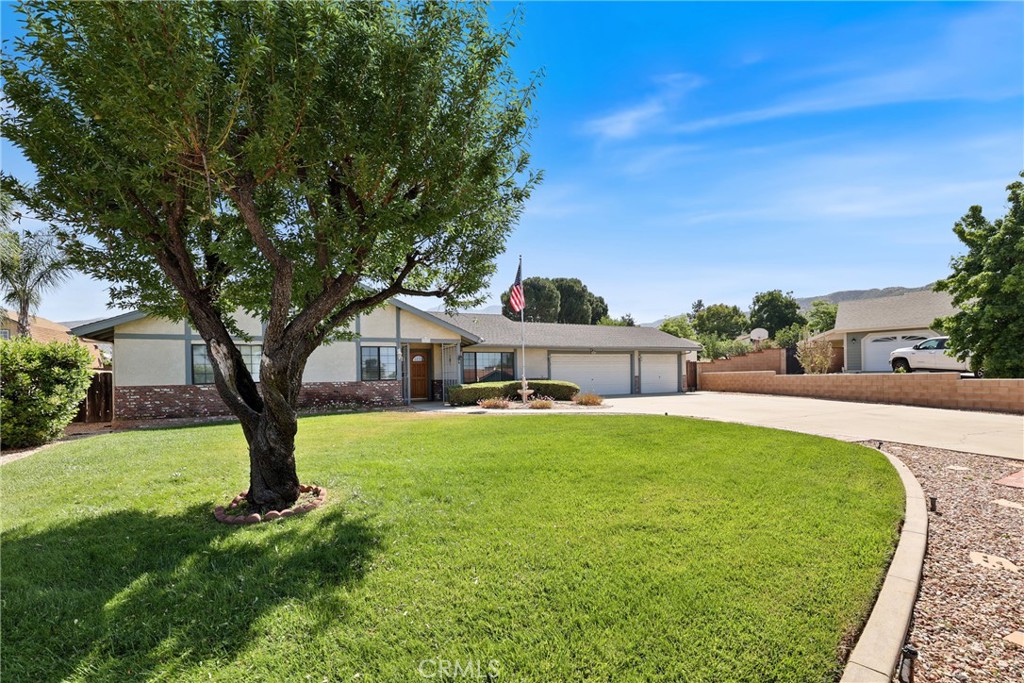 35632 Avocado Street