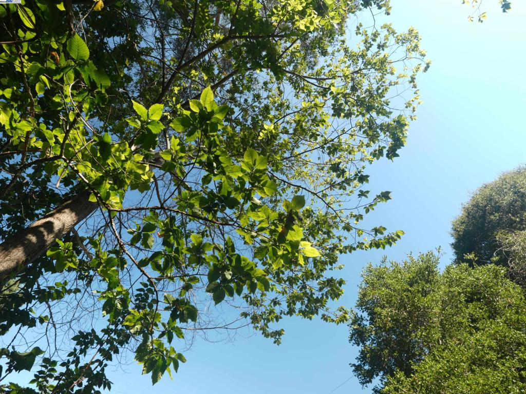 PIEDMONT - Residential Income