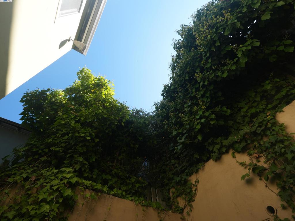 PIEDMONT - Residential Income