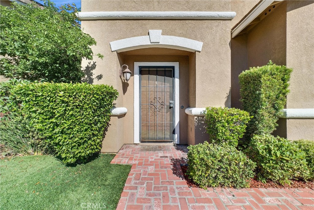 42116 Orange Blossom