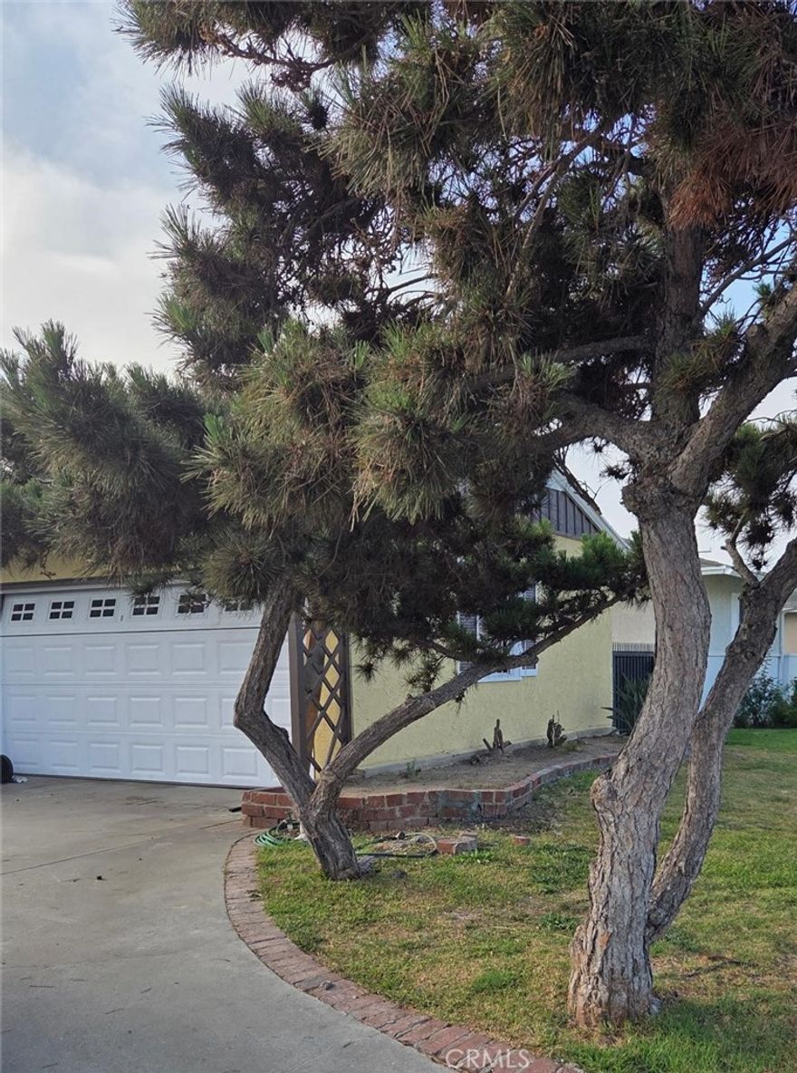 This is a single family home, located in the beautiful area of Hollypark, shopping center, schools, parks, churches, gulf course and major entertainment and sport ventues closeby..   Move-in ready,  three bedrooms, 2 bath, large family/den with fireplace and patio. Freshly painted, inside and out, new flooring throughout, kitchen, bathroom remodel.  Solar panels.  Waiting for that special house, this a must see and won't last,