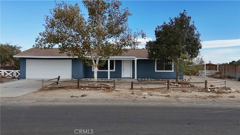 Photo of 40974 156th St E, Lancaster, CA 93535 (MLS # DW25242308)