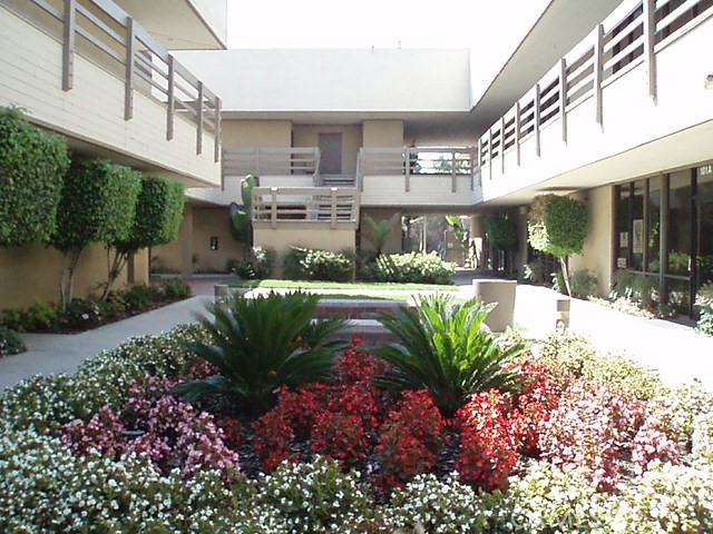 4959 Palo Verde Street 203B
