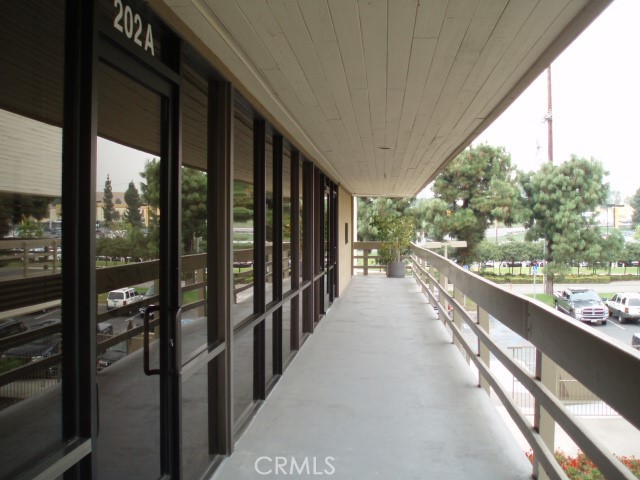 4959 Palo Verde Street 203B