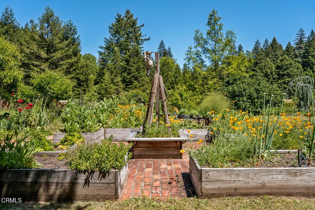 31501 Comptche Ukiah Road