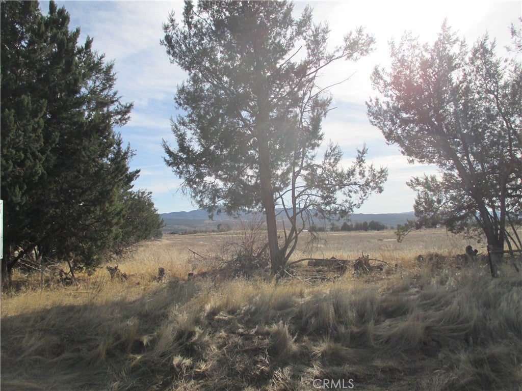 0 Highway 371