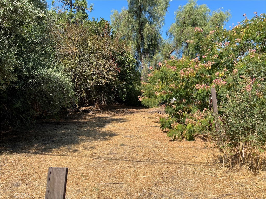462 Gage Street