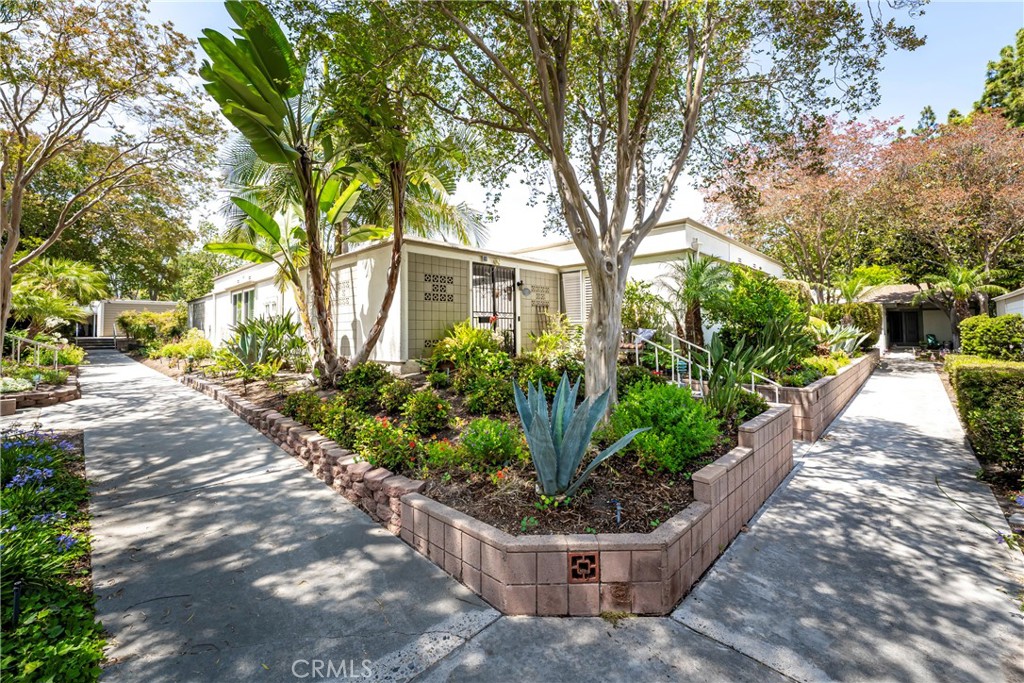 489 Calle Cadiz D