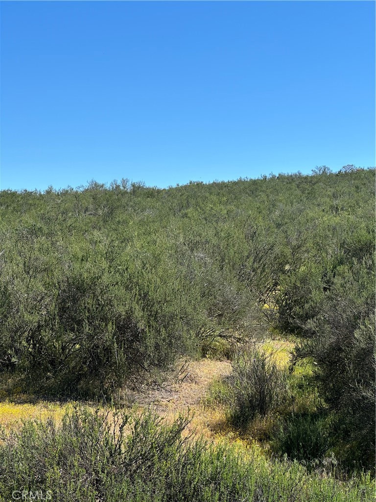 0 Sage & Red Mountain Road