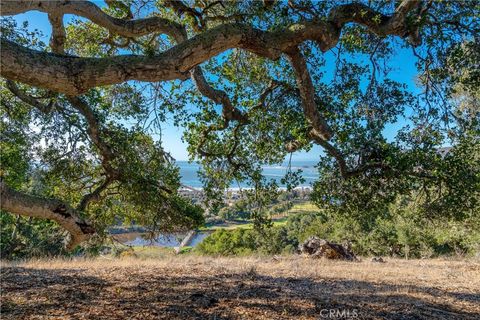 Tiny photo for 2665 Vista De Avila, Avila Beach, CA 93424 (MLS # NS26023683)
