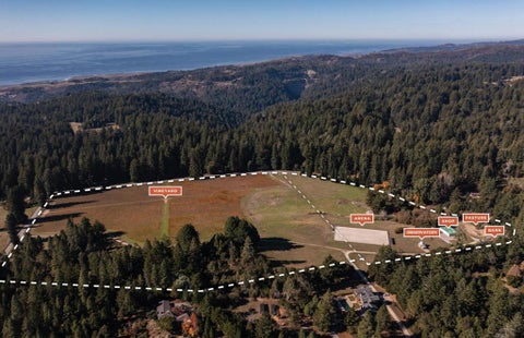 Photo of 3980 Bonny Doon Road, Santa Cruz, CA 95060 (MLS # ML82062955)