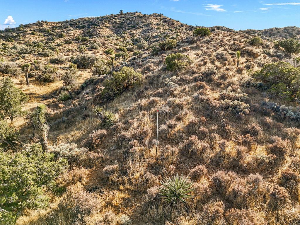 Not Applicable-1 - Land