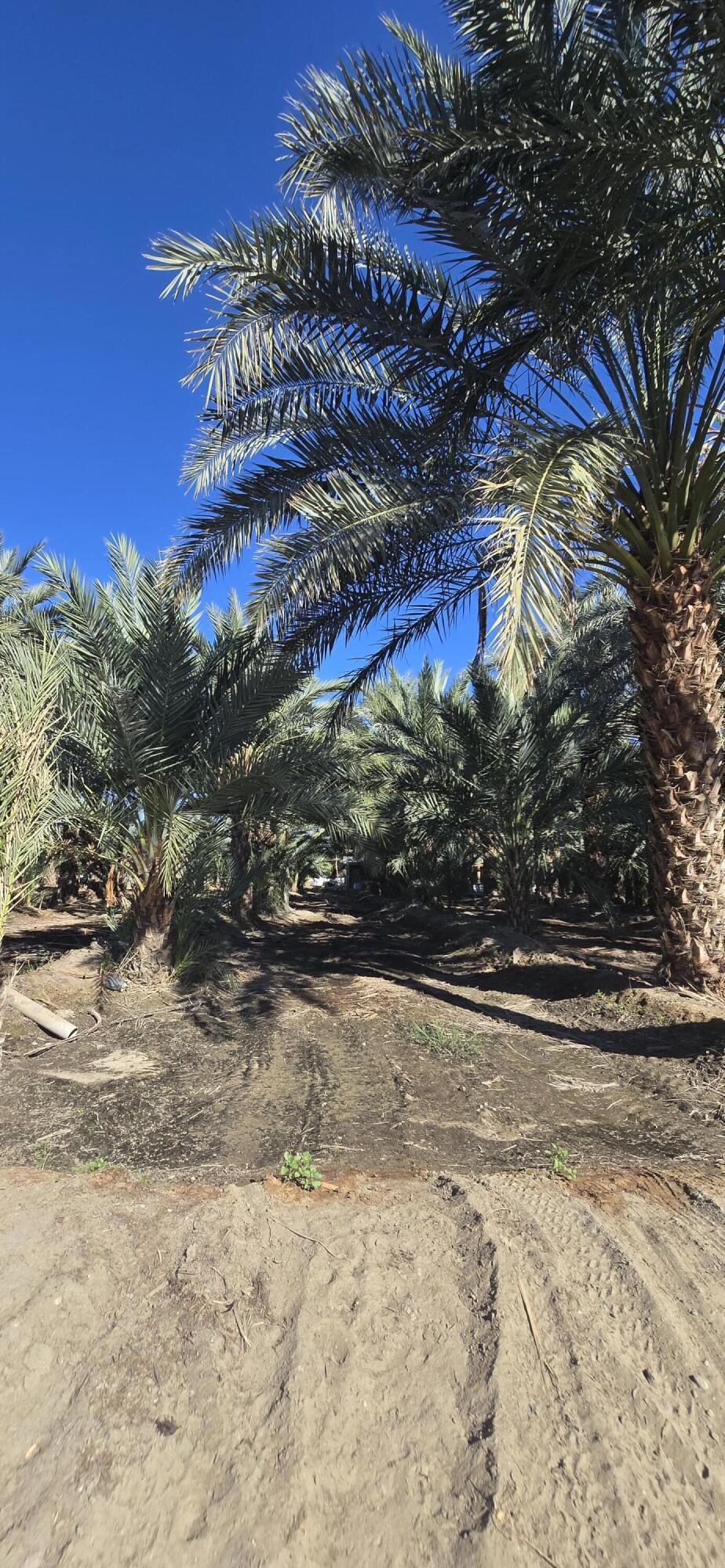 Not Applicable-1 - Land