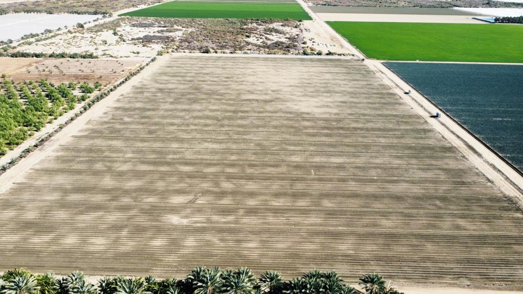 Not Applicable-1 - Land