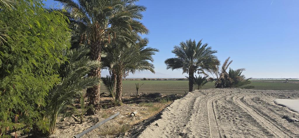 Not Applicable-1 - Land