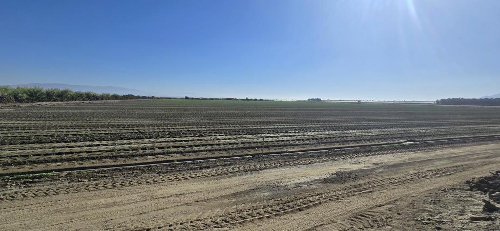 Not Applicable-1 - Land