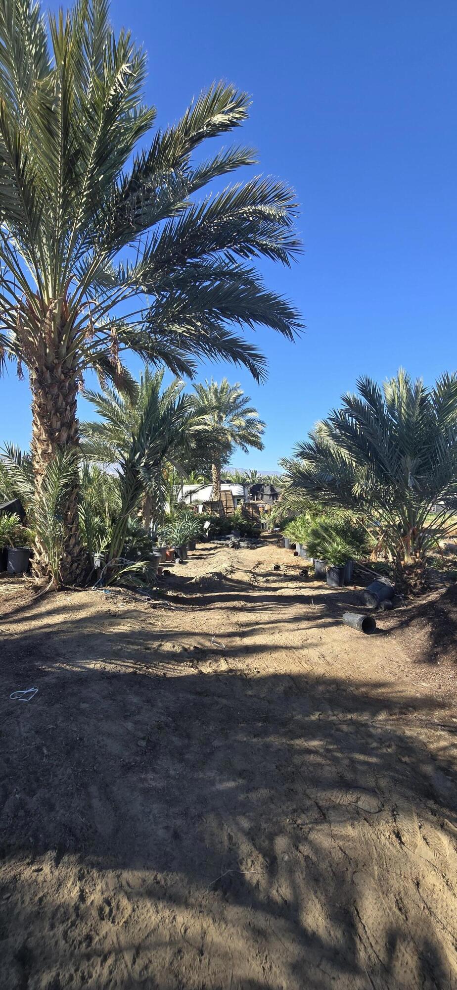 Not Applicable-1 - Land