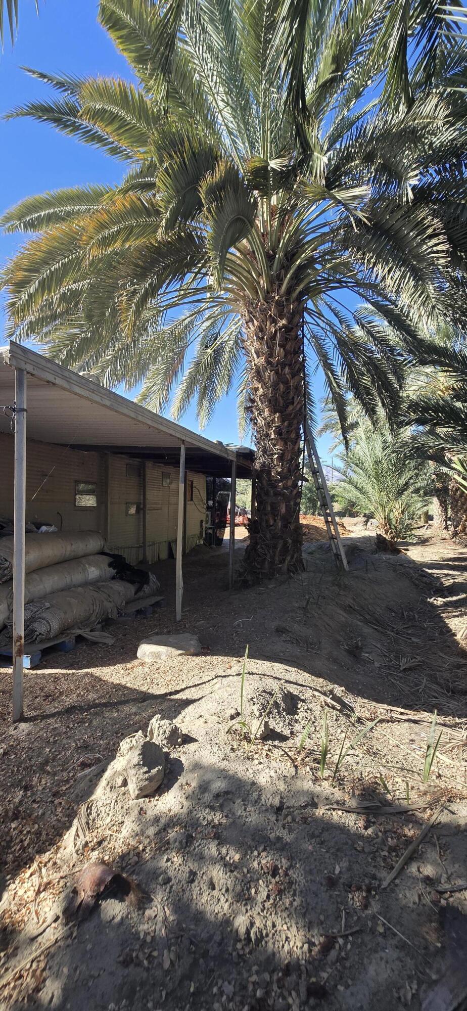 Not Applicable-1 - Land