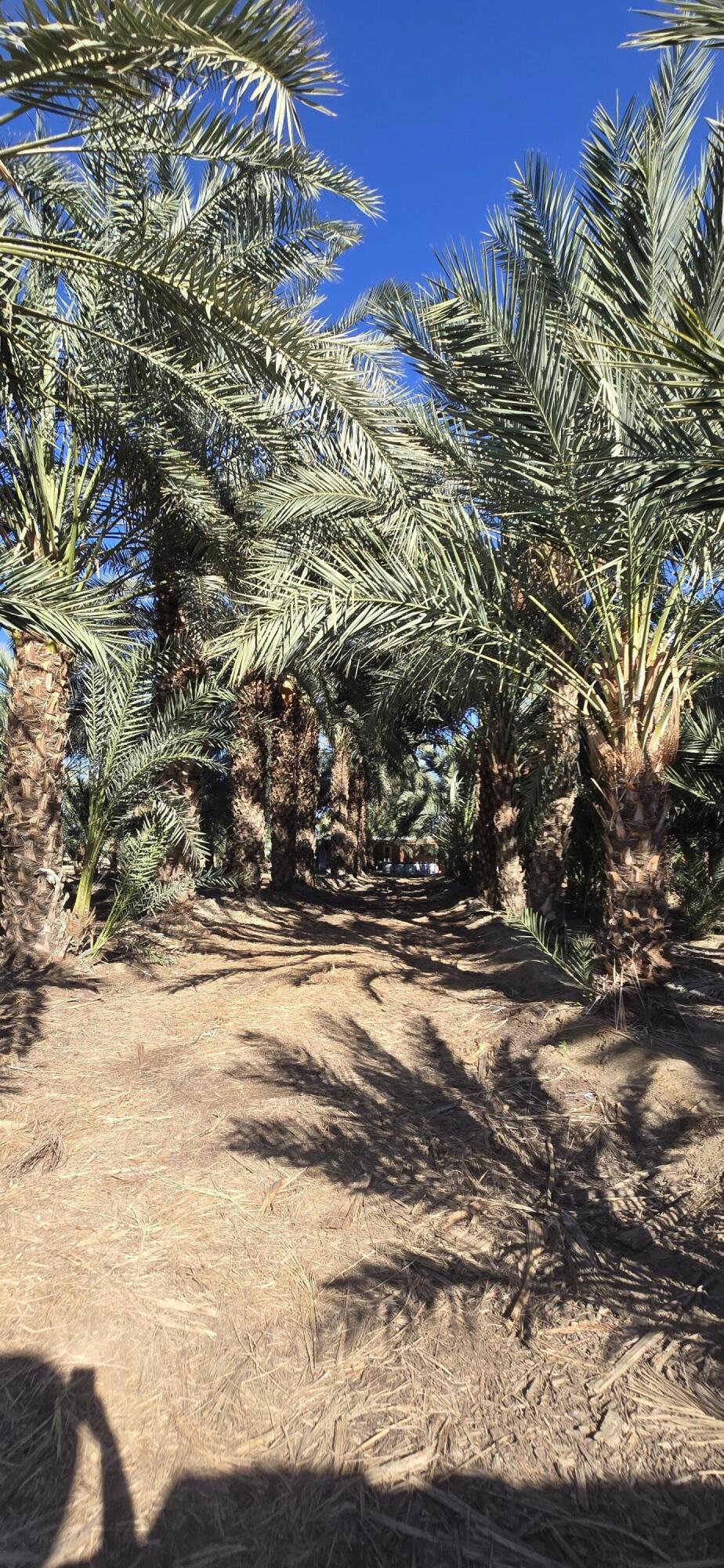 Not Applicable-1 - Land