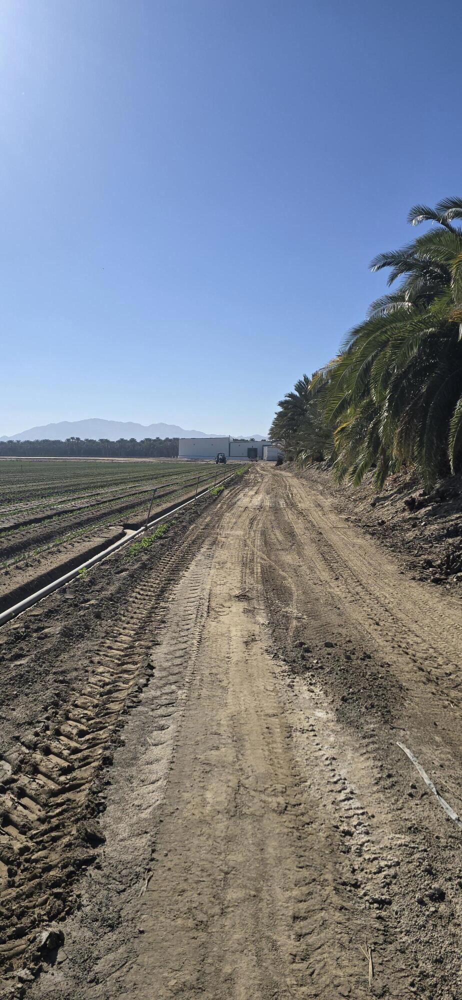 Not Applicable-1 - Land