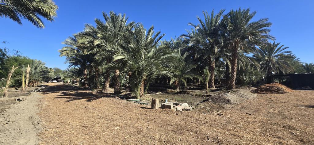 Not Applicable-1 - Land