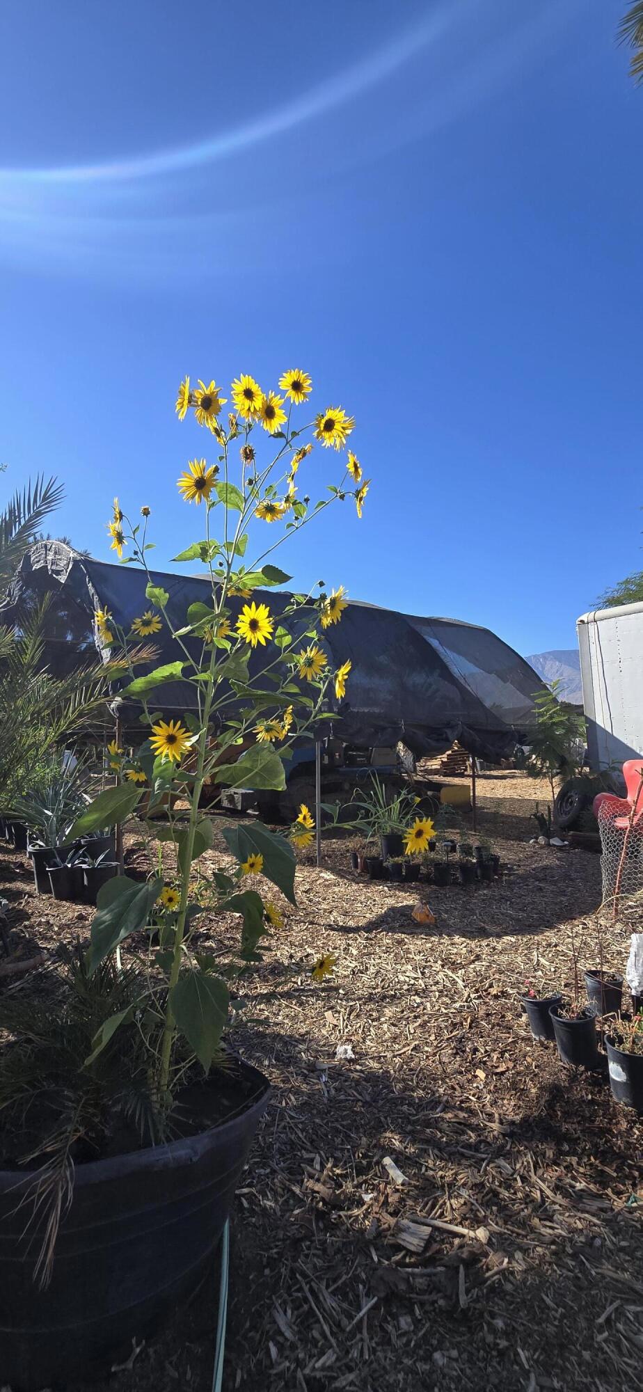 Not Applicable-1 - Land