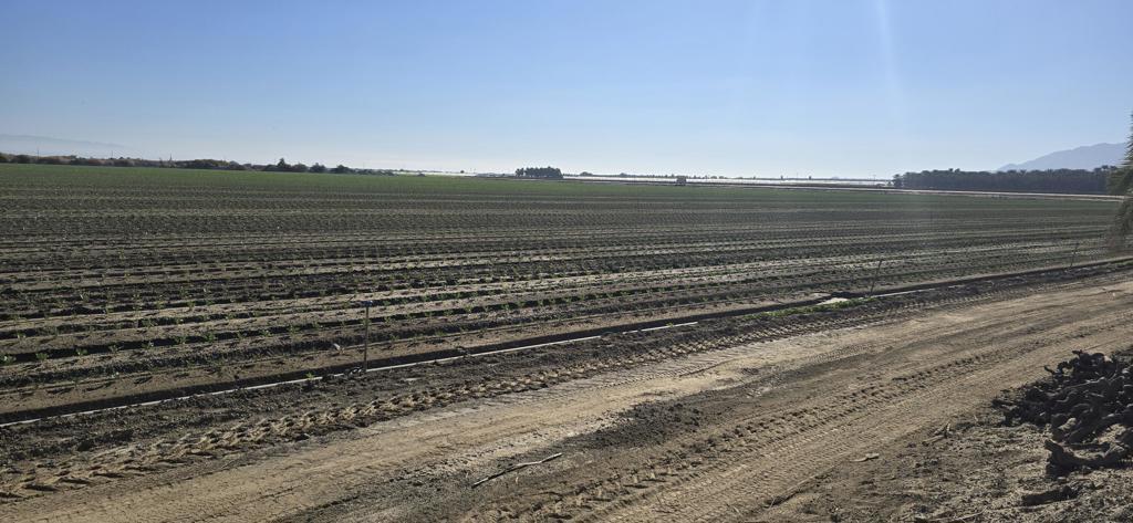 Not Applicable-1 - Land