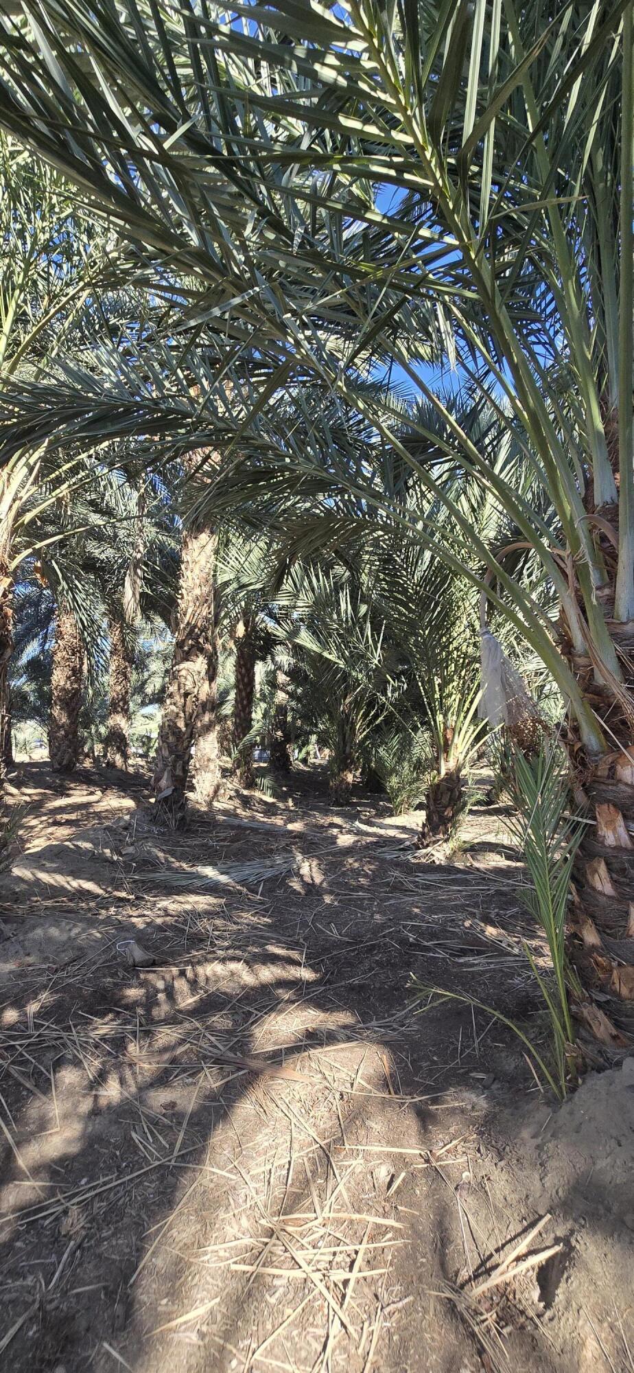 Not Applicable-1 - Land