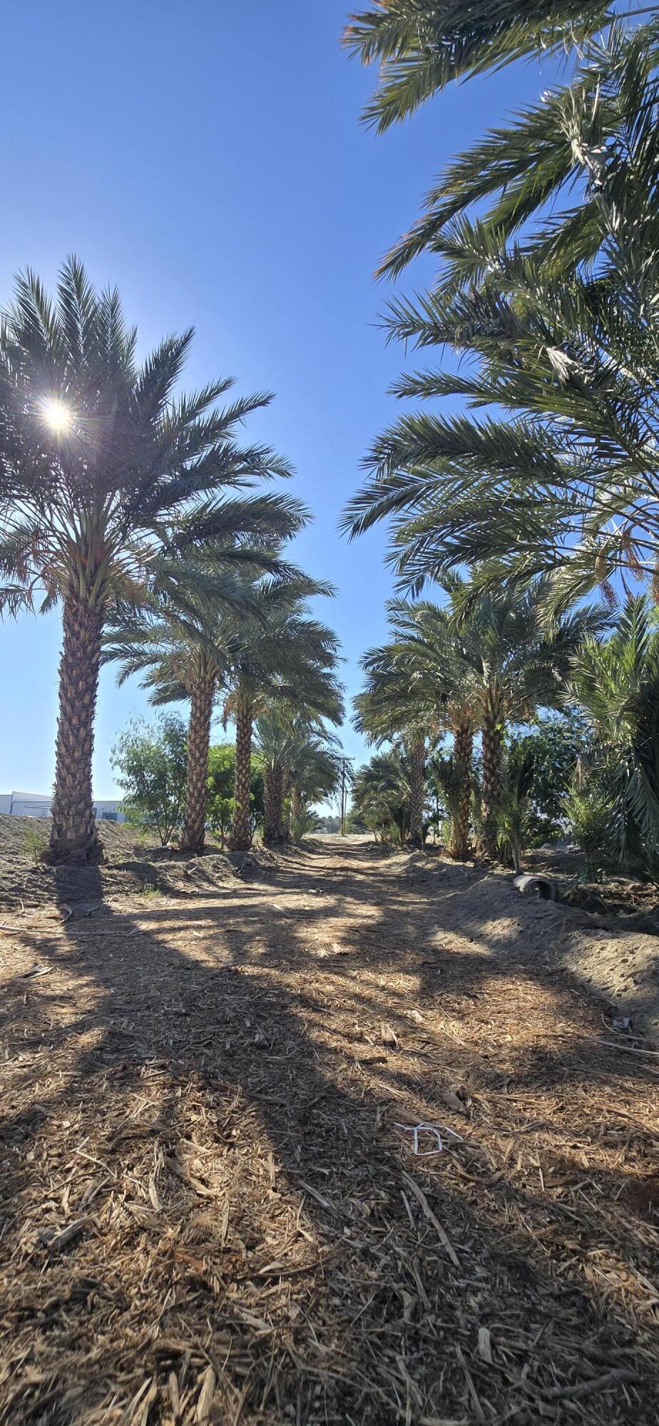 Not Applicable-1 - Land