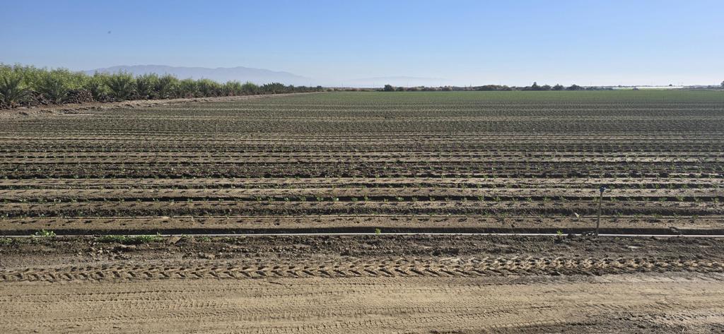 Not Applicable-1 - Land