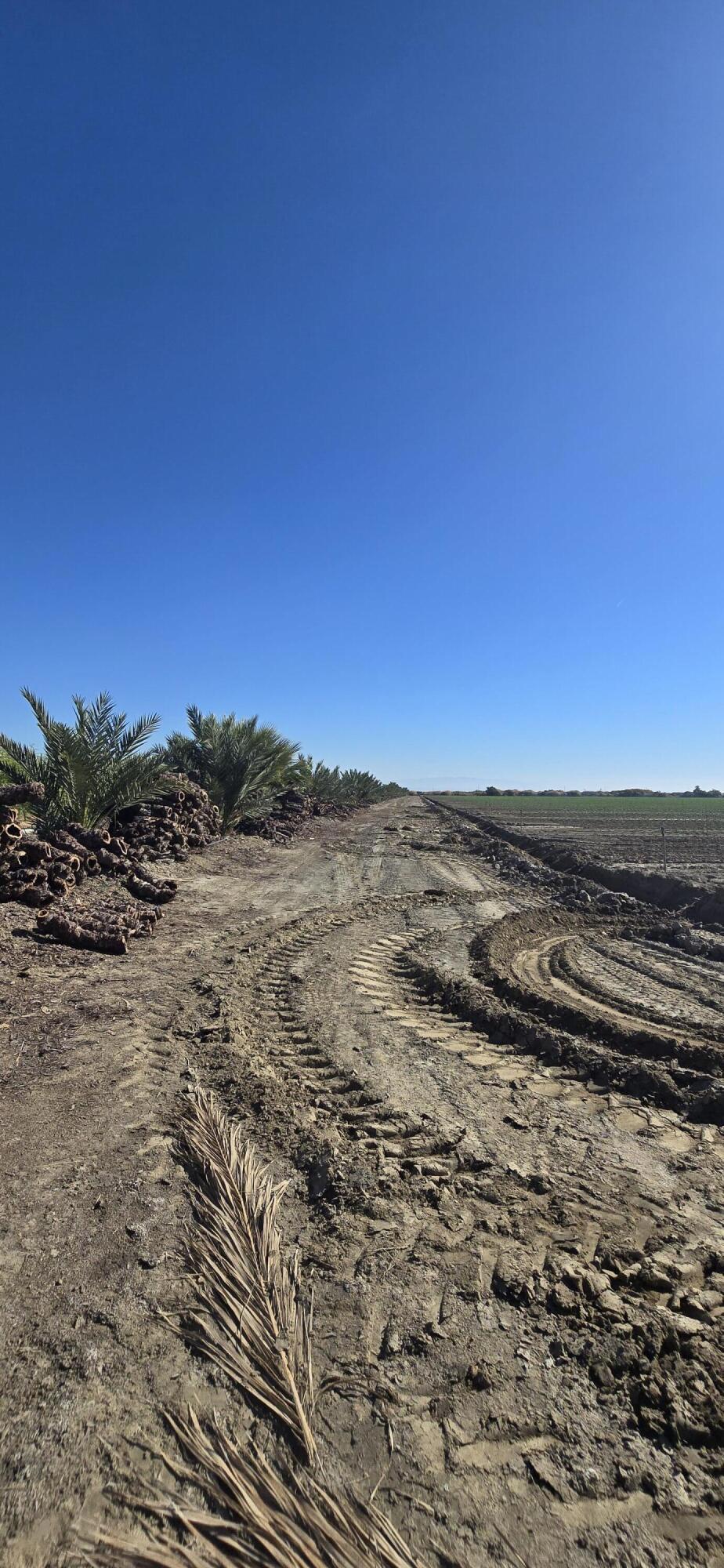 Not Applicable-1 - Land