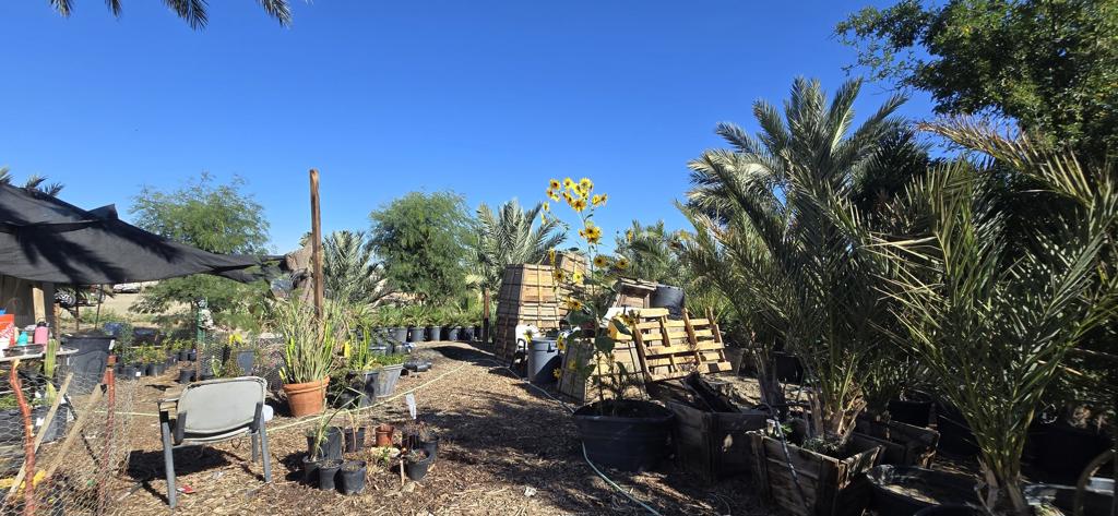 Not Applicable-1 - Land