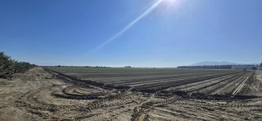 Not Applicable-1 - Land