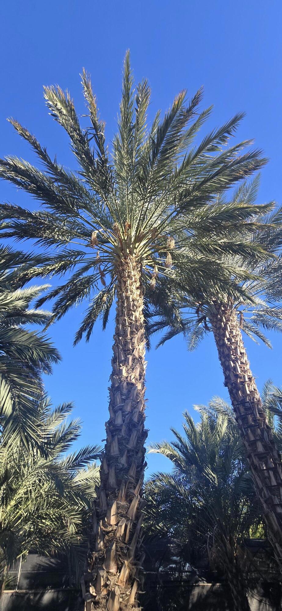 Not Applicable-1 - Land