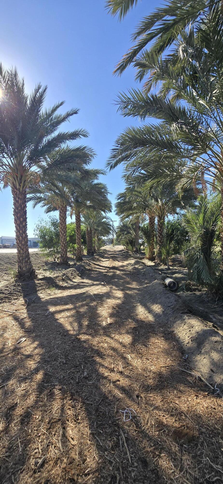 Not Applicable-1 - Land