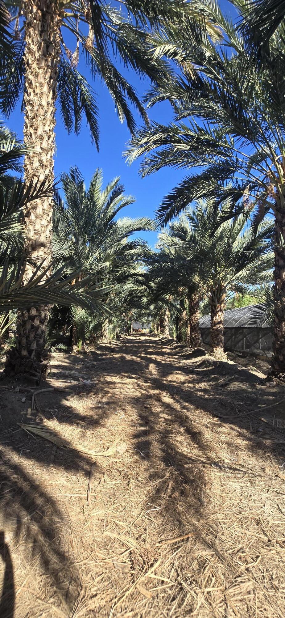 Not Applicable-1 - Land