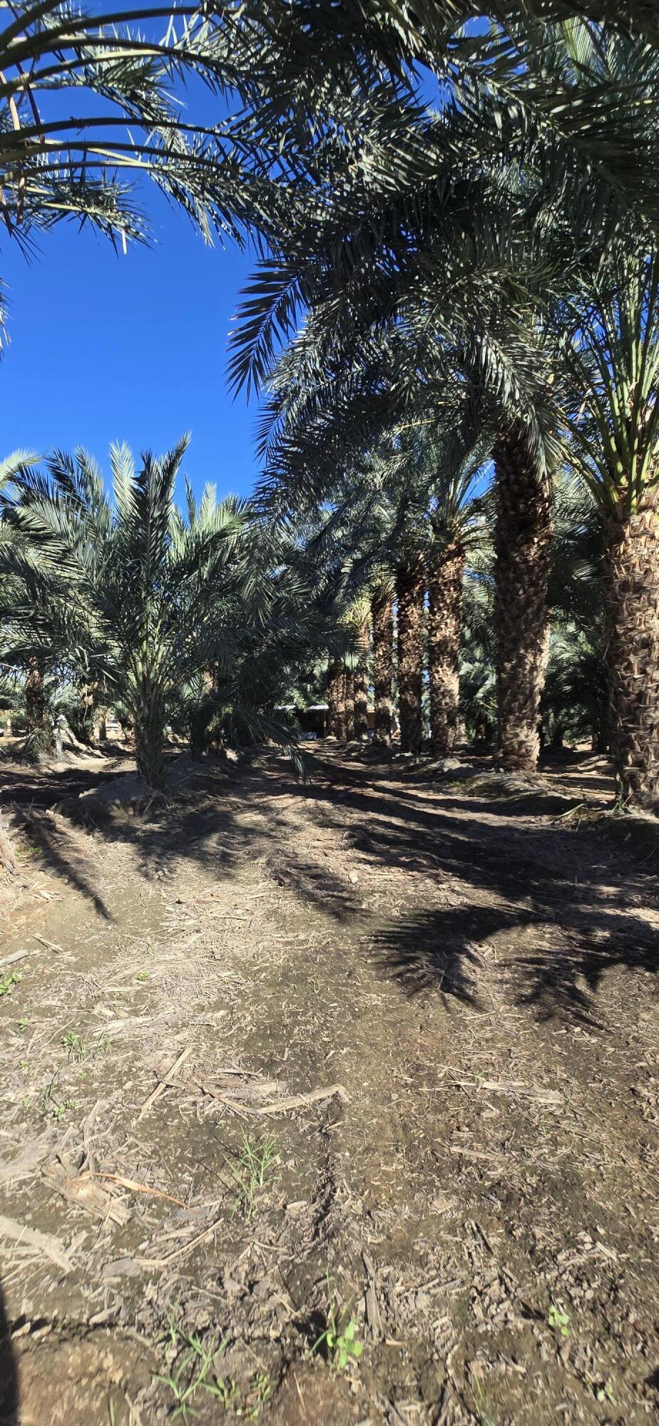 Not Applicable-1 - Land