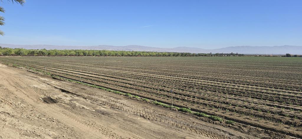 Not Applicable-1 - Land