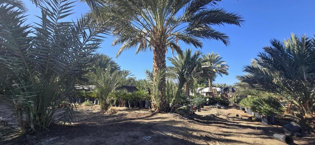 Not Applicable-1 - Land