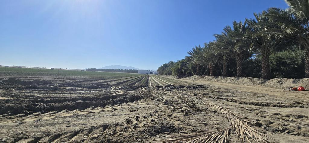 Not Applicable-1 - Land