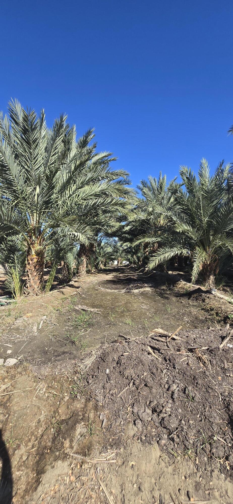 Not Applicable-1 - Land