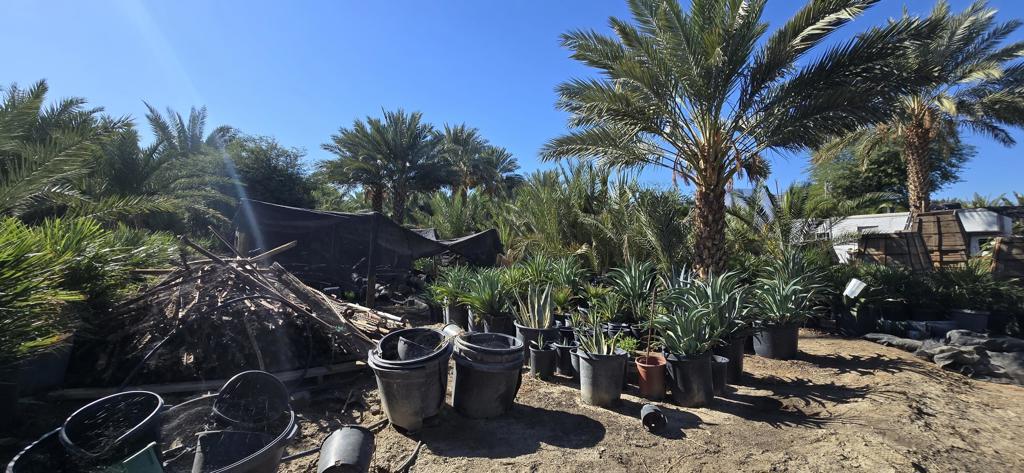 Not Applicable-1 - Land