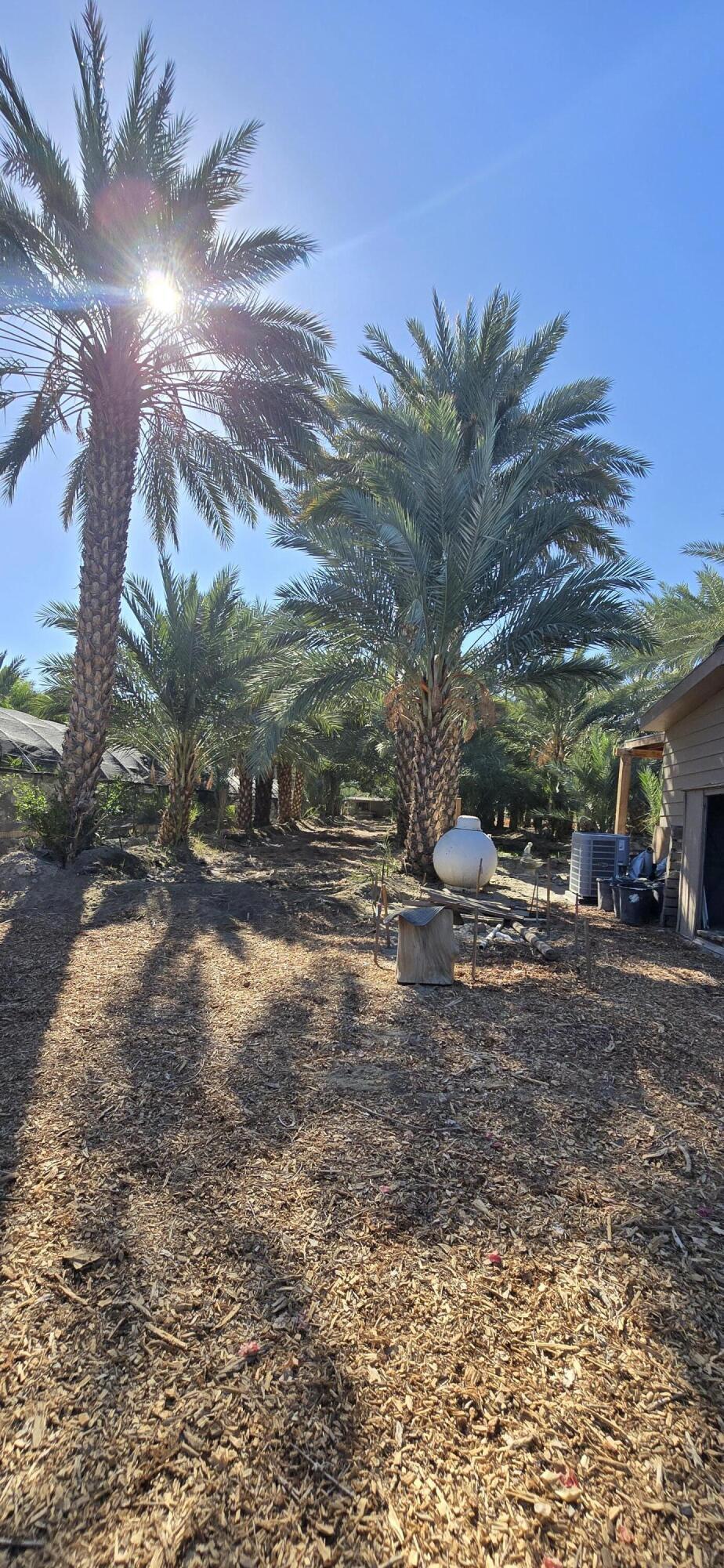 Not Applicable-1 - Land