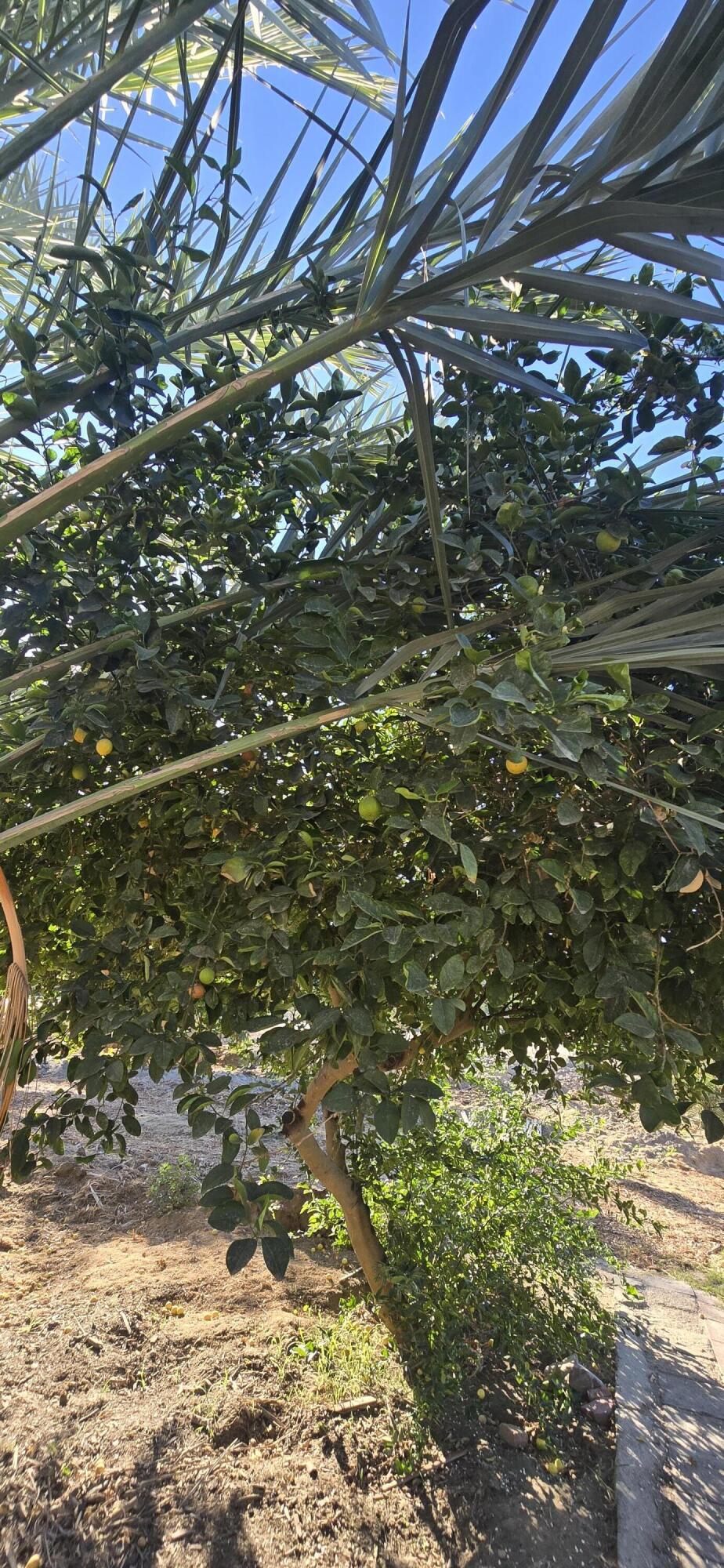 Not Applicable-1 - Land